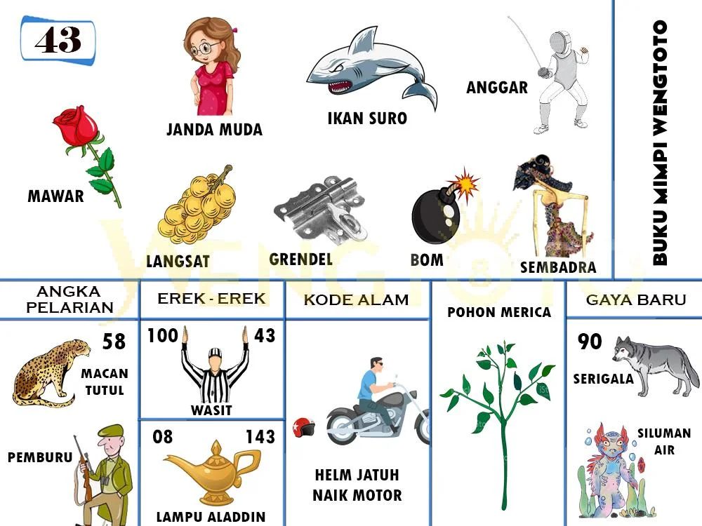 buku mimpi erek erek togel 43